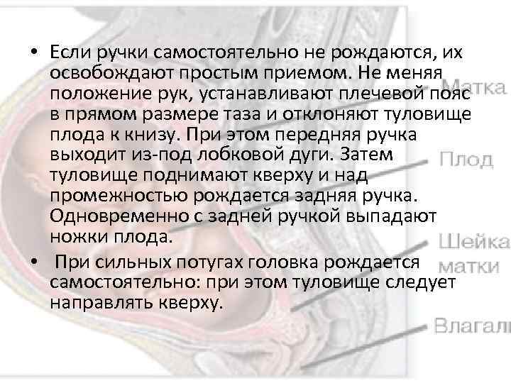  • Если ручки самостоятельно не рождаются, их освобождают простым приемом. Не меняя положение