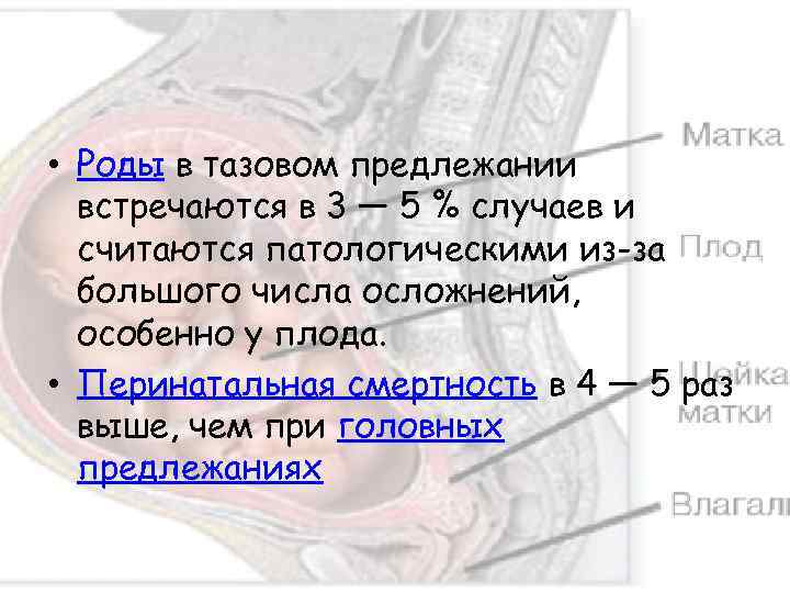  • Роды в тазовом предлежании встречаются в 3 — 5 % случаев и