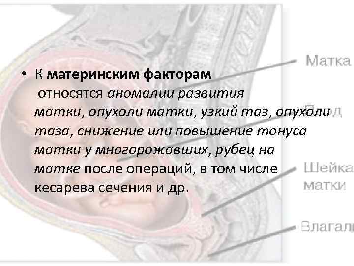  • К материнским факторам относятся аномалии развития матки, опухоли матки, узкий таз, опухоли