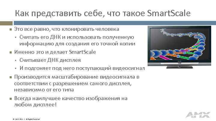 Как представить себе, что такое Smart. Scale Это все равно, что клонировать человека •