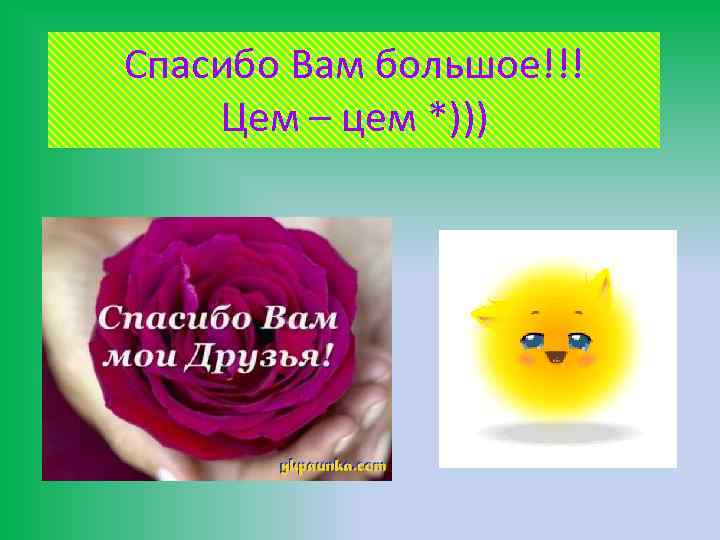 Спасибо Вам большое!!! Цем – цем *))) 