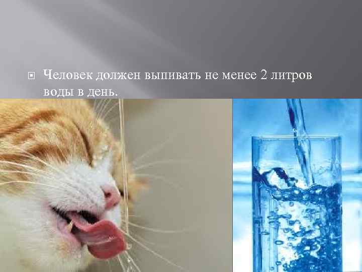  Человек должен выпивать не менее 2 литров воды в день. 