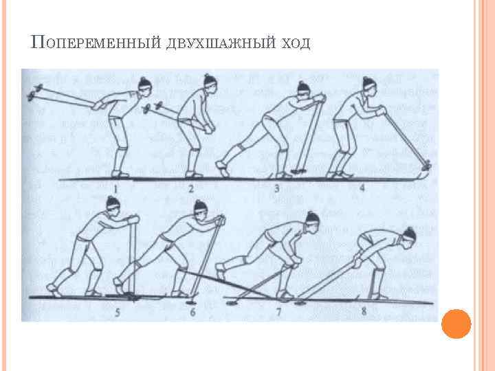 На какой картинке изображен попеременный двухшажный ход