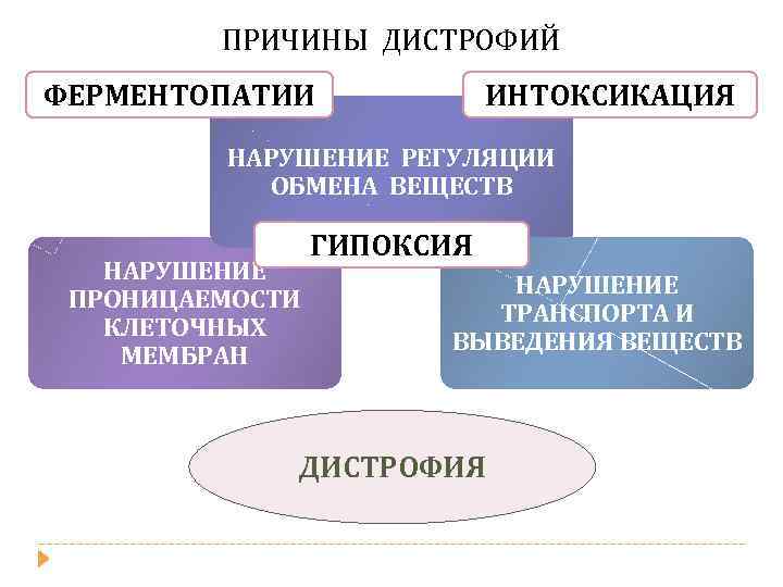 Дистрофия патология обмена веществ презентация