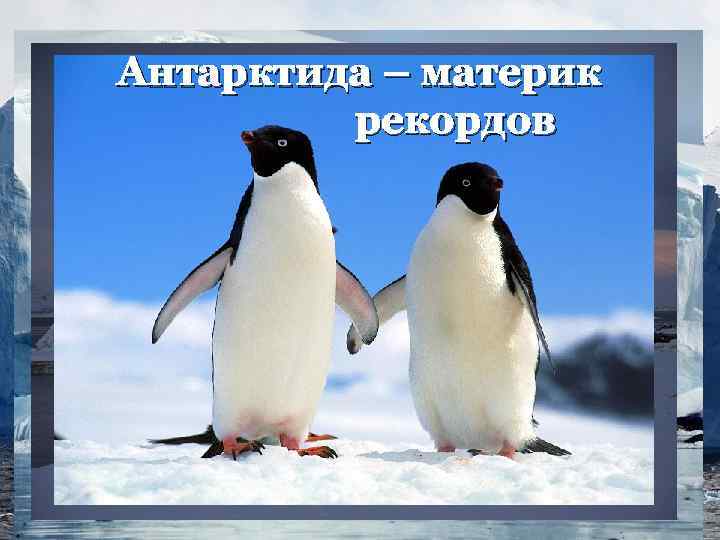 Антарктида – материк рекордов 