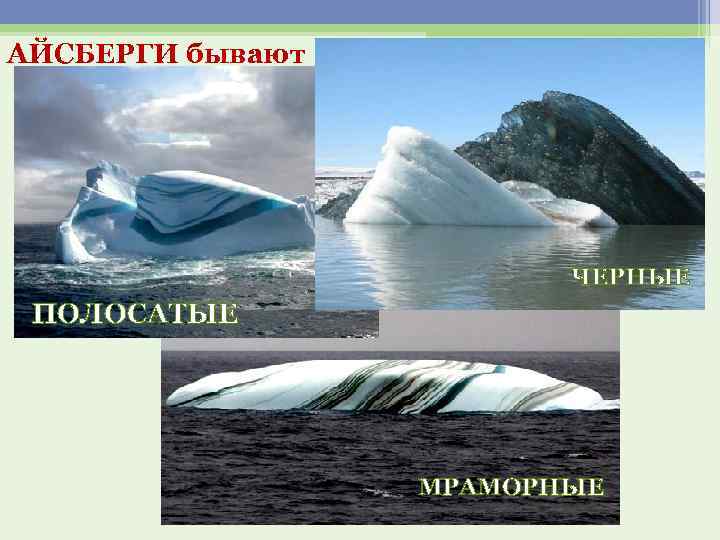 АЙСБЕРГИ бывают ЧЕРНЫЕ ПОЛОСАТЫЕ МРАМОРНЫЕ 