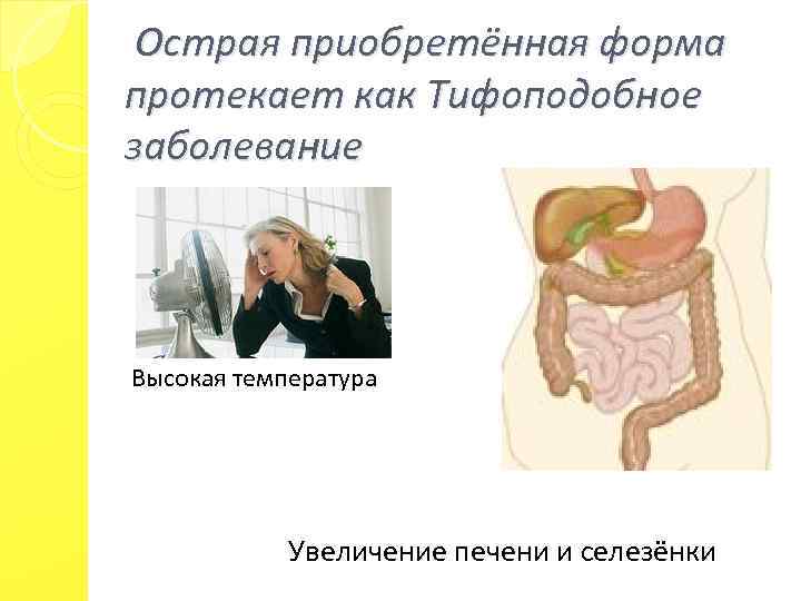 Острая приобретённая форма протекает как Тифоподобное заболевание Высокая температура Увеличение печени и селезёнки 