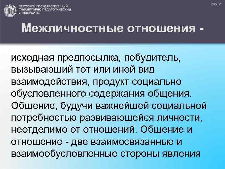 Межличностные отношения исходная предпосылка, побудитель, вызывающий тот или иной вид взаимодействия, продукт социально обусловленного