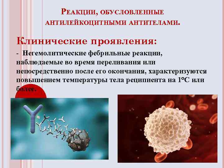 РЕАКЦИИ, ОБУСЛОВЛЕННЫЕ АНТИЛЕЙКОЦИТНЫМИ АНТИТЕЛАМИ. Клинические проявления: - Негемолитические фебрильные реакции, наблюдаемые во время переливания