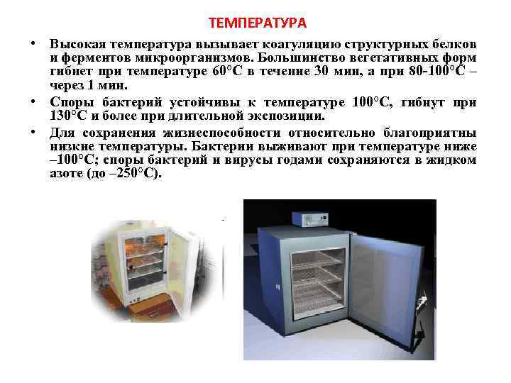 ТЕМПЕРАТУРА • Высокая температура вызывает коагуляцию структурных белков и ферментов микроорганизмов. Большинство вегетативных форм