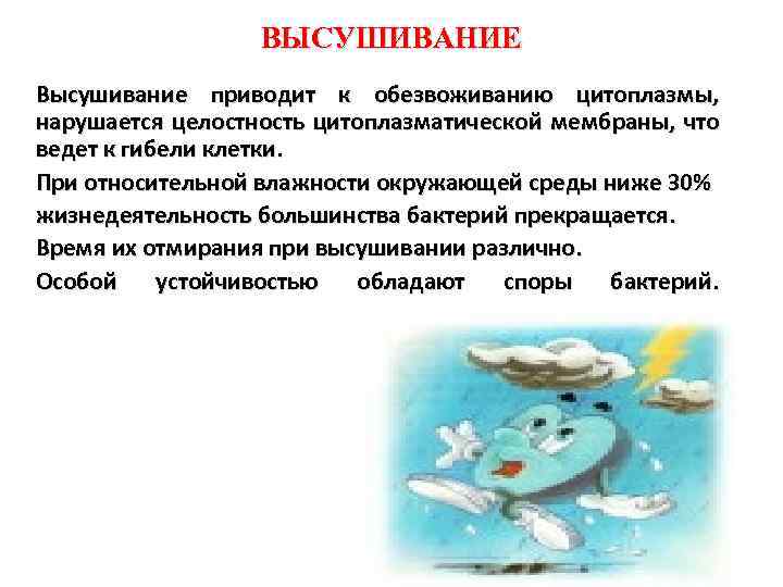 ВЫСУШИВАНИЕ Высушивание приводит к обезвоживанию цитоплазмы, нарушается целостность цитоплазматической мембраны, что ведет к гибели