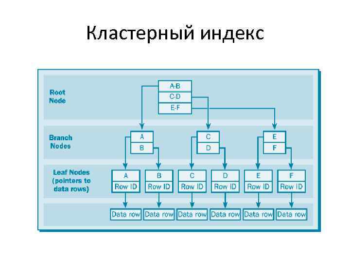 1с индекс картинки