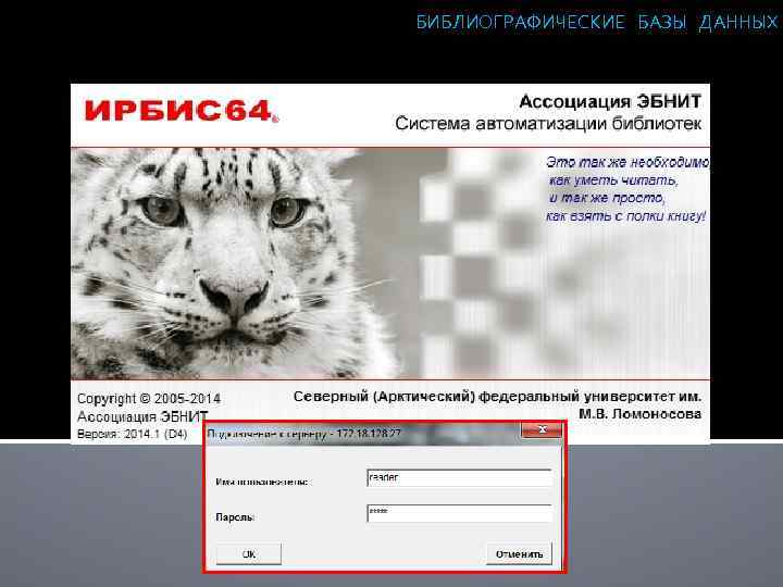 БИБЛИОГРАФИЧЕСКИЕ БАЗЫ ДАННЫХ 