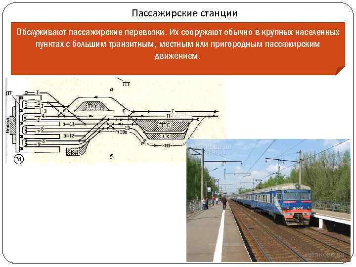 Пассажирские станции Обслуживают пассажирские перевозки. Их сооружают обычно в крупных населенных пунктах с большим