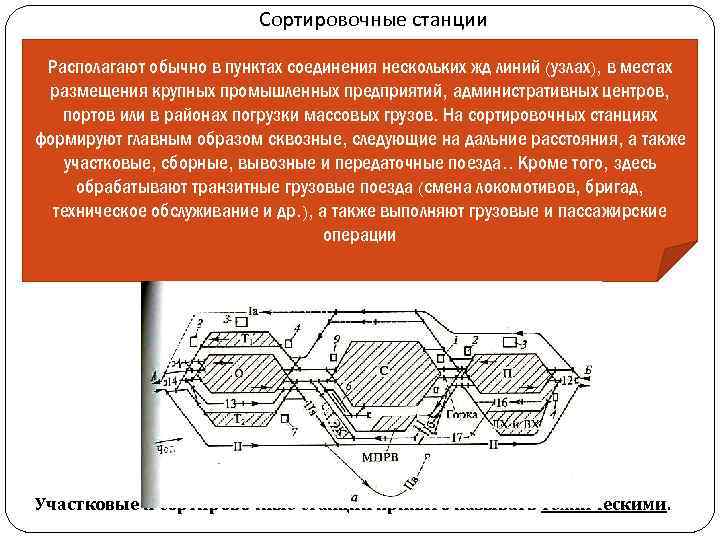 Сортировочные станции Располагают обычно в пунктах соединения нескольких жд линий (узлах), в местах размещения