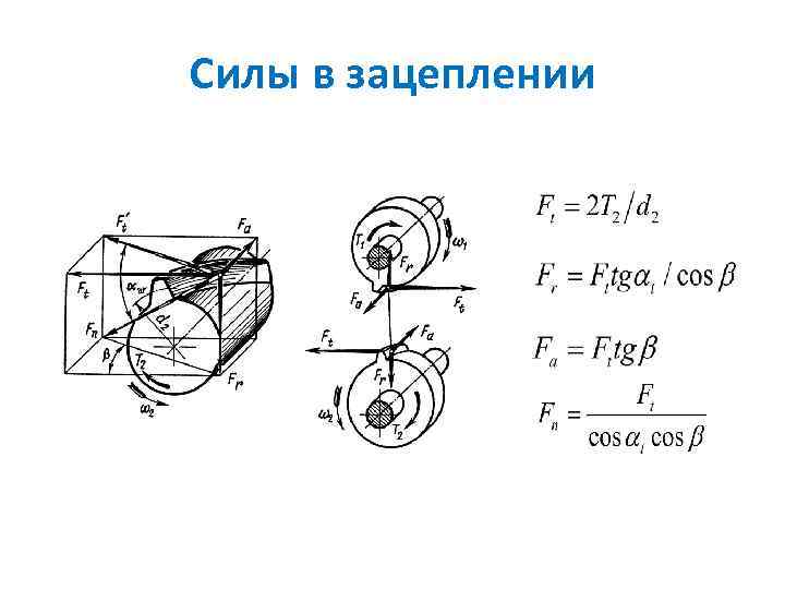 Силы в зацеплении 