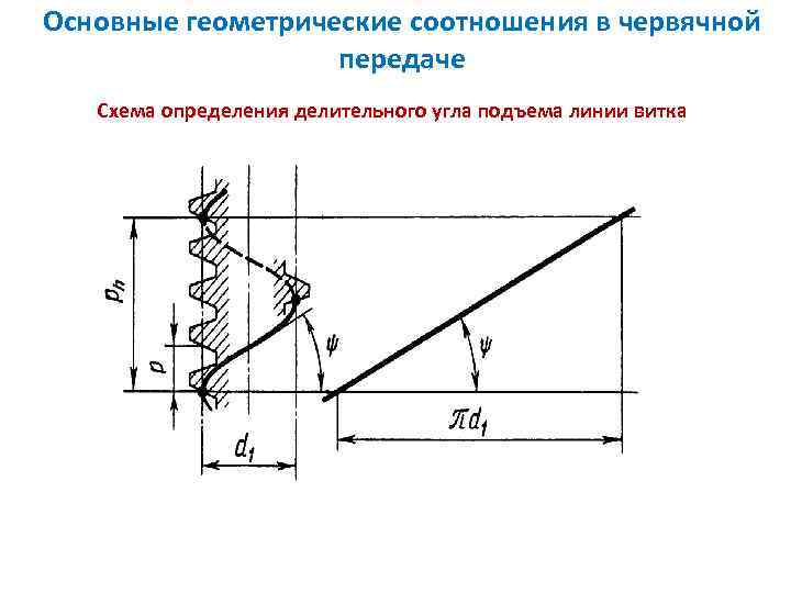 Основные геометрические соотношения в червячной передаче Схема определения делительного угла подъема линии витка 