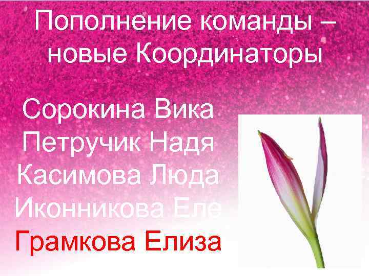 Пополнение команды – новые Координаторы Сорокина Вика Петручик Надя Касимова Люда Иконникова Еле Грамкова