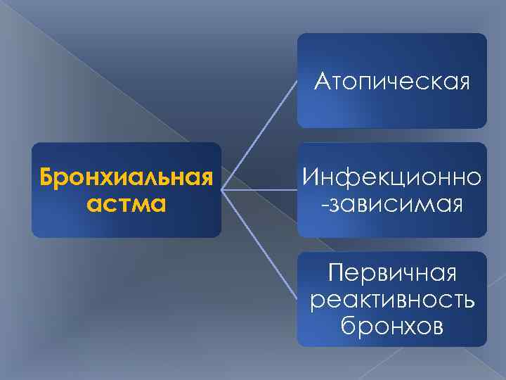 Атопическая Бронхиальная астма Инфекционно -зависимая Первичная реактивность бронхов 