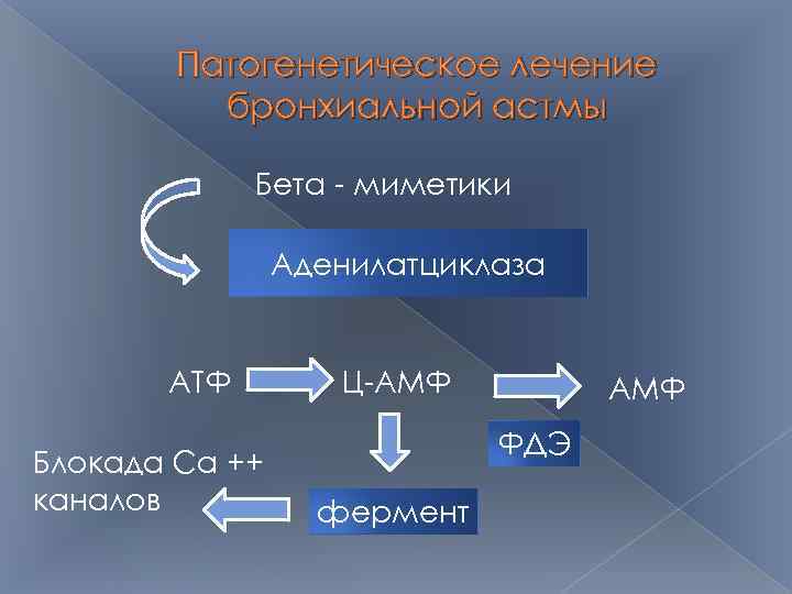 Патогенетическое лечение бронхиальной астмы Бета - миметики Аденилатциклаза АТФ Блокада Са ++ каналов Ц-АМФ