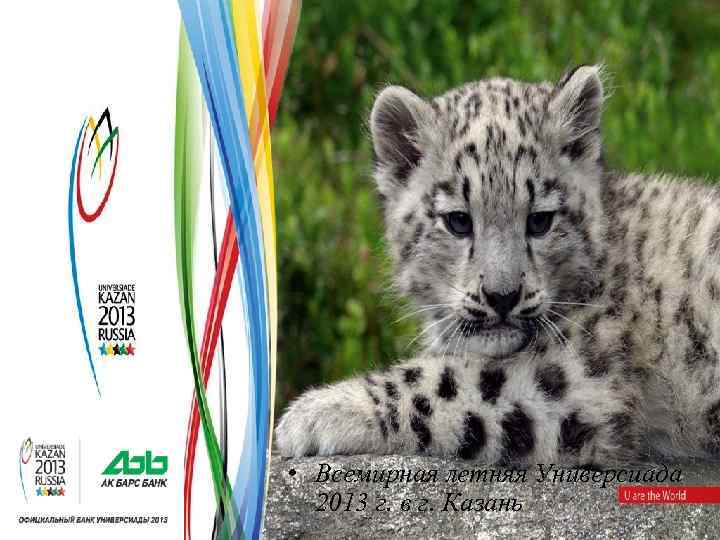  • Всемирная летняя Универсиада 2013 г. в г. Казань 