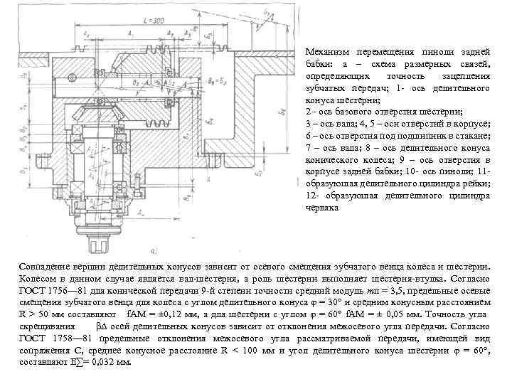 Механизм перемещения пиноли задней бабки: а – схема размерных связей, определяющих точность зацепления зубчатых