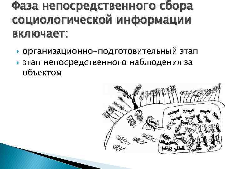 Фаза непосредственного сбора социологической информации включает: организационно-подготовительный этап непосредственного наблюдения за объектом 