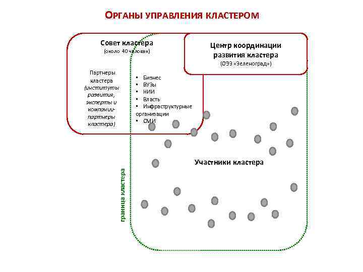 ОРГАНЫ УПРАВЛЕНИЯ КЛАСТЕРОМ Совет кластера (около 40 человек) Центр координации развития кластера (ОЭЗ «Зеленоград»