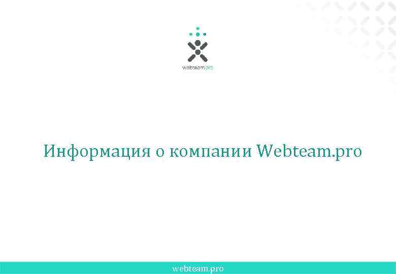 Информация о компании Webteam. pro webteam. pro 