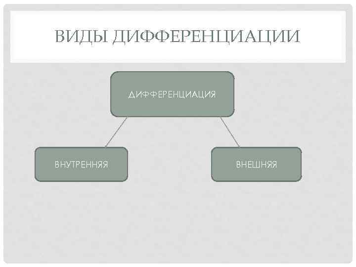 ВИДЫ ДИФФЕРЕНЦИАЦИИ ДИФФЕРЕНЦИАЦИЯ ВНУТРЕННЯЯ ВНЕШНЯЯ 