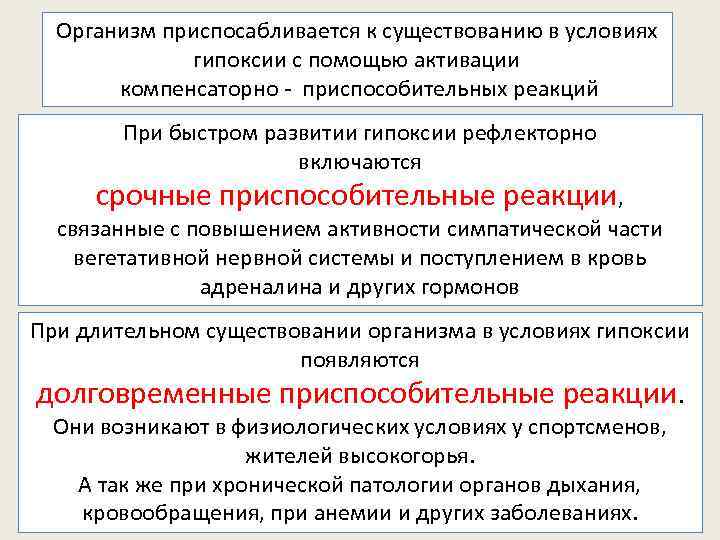 Организм приспосабливается к существованию в условиях гипоксии с помощью активации компенсаторно - приспособительных реакций