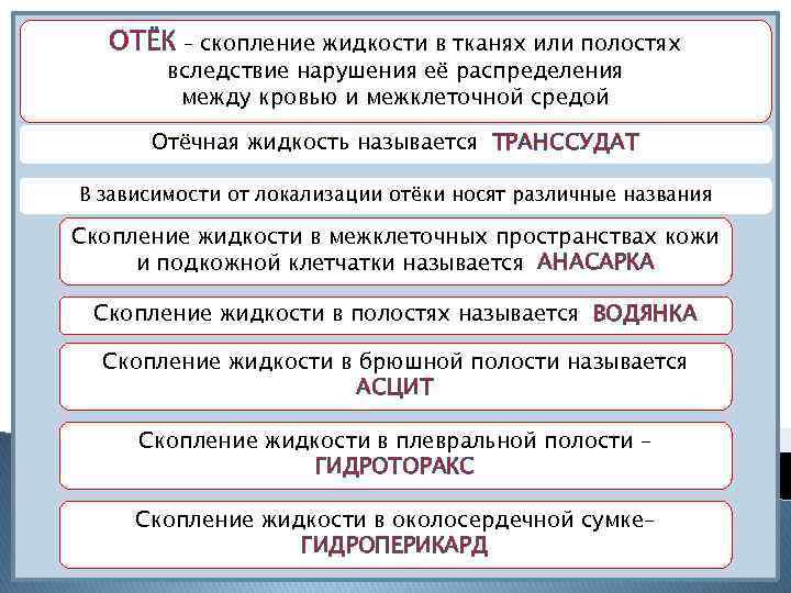 ОТЁК – скопление жидкости в тканях или полостях вследствие нарушения её распределения между кровью