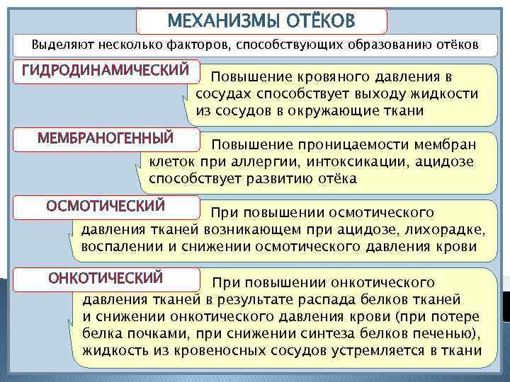 МЕХАНИЗМЫ ОТЁКОВ Выделяют несколько факторов, способствующих образованию отёков ГИДРОДИНАМИЧЕСКИЙ Повышение кровяного давления в сосудах