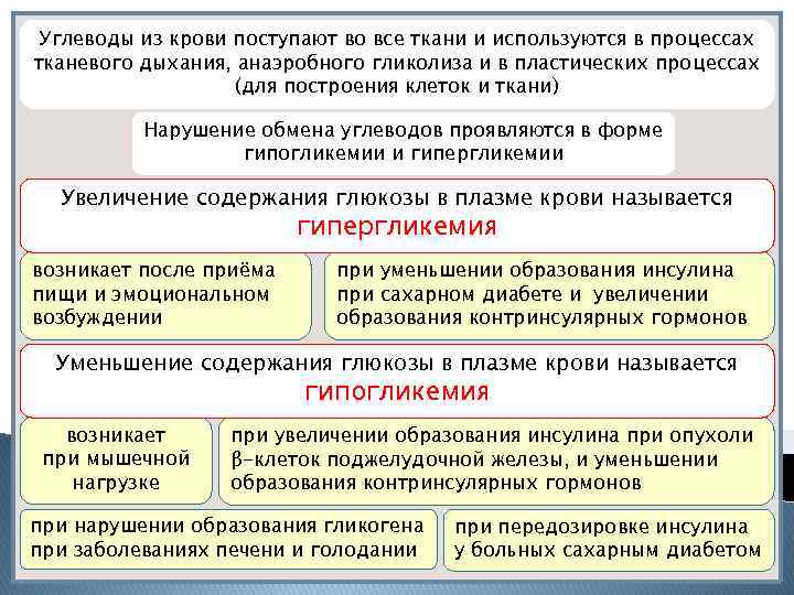 Углеводы из крови поступают во все ткани и используются в процессах тканевого дыхания, анаэробного