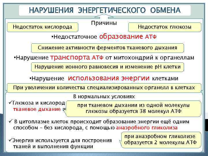 НАРУШЕНИЯ ЭНЕРГЕТИЧЕСКОГО ОБМЕНА Недостаток кислорода Причины Недостаток глюкозы • Недостаточное образование АТФ Снижение активности