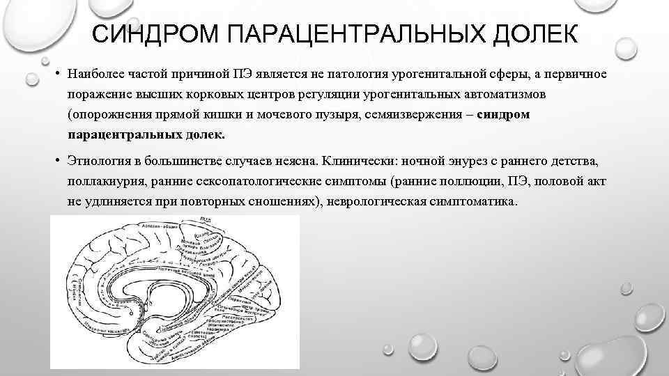 СИНДРОМ ПАРАЦЕНТРАЛЬНЫХ ДОЛЕК • Наиболее частой причиной ПЭ является не патология урогенитальной сферы, а