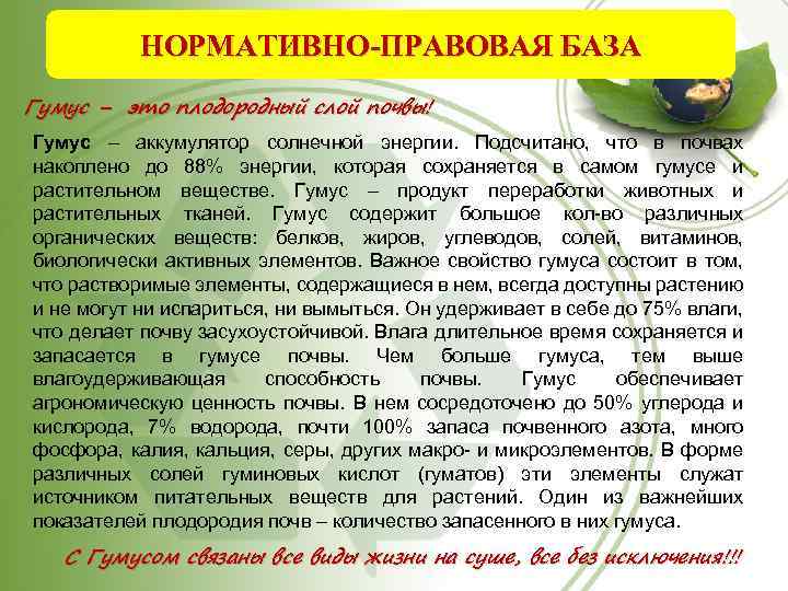 НОРМАТИВНО-ПРАВОВАЯ БАЗА Гумус – это плодородный слой почвы! Гумус – аккумулятор солнечной энергии. Подсчитано,