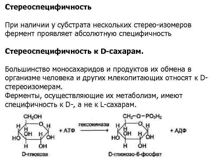 Гликолиз схема процесса ферменты и их локализация