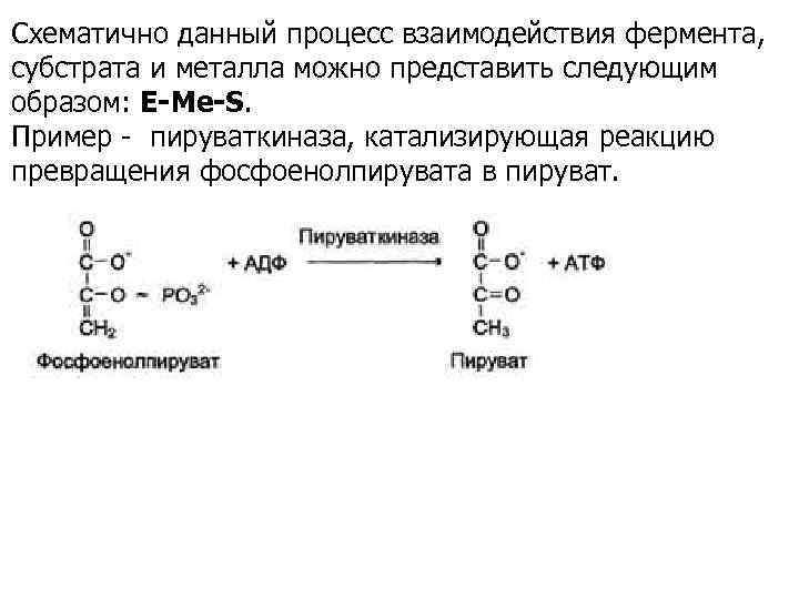 Схематично данный процесс взаимодействия фермента, субстрата и металла можно представить следующим образом: E-Me-S. Пример