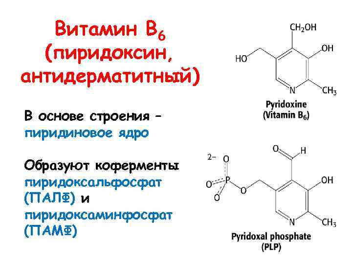 Витамин В 6 (пиридоксин, антидерматитный) В основе строения – пиридиновое ядро Образуют коферменты пиридоксальфосфат