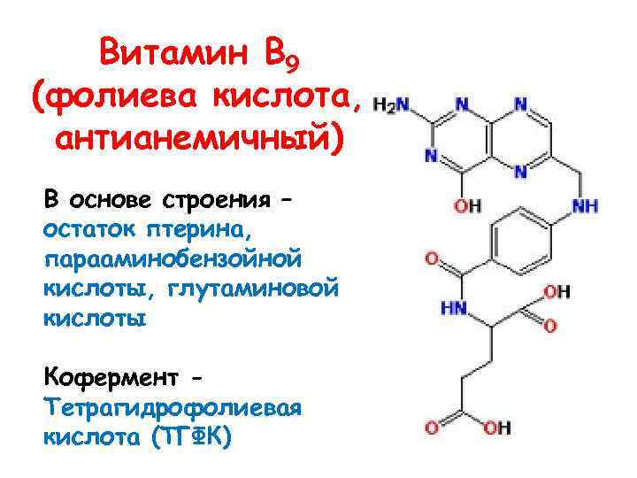 Витамин В 9 (фолиева кислота, антианемичный) В основе строения – остаток птерина, парааминобензойной кислоты,