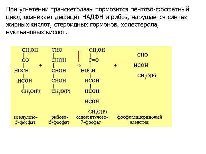 При угнетении транскетолазы тормозится пентозо-фосфатный цикл, возникает дефицит НАДФН и рибоз, нарушается синтез жирных