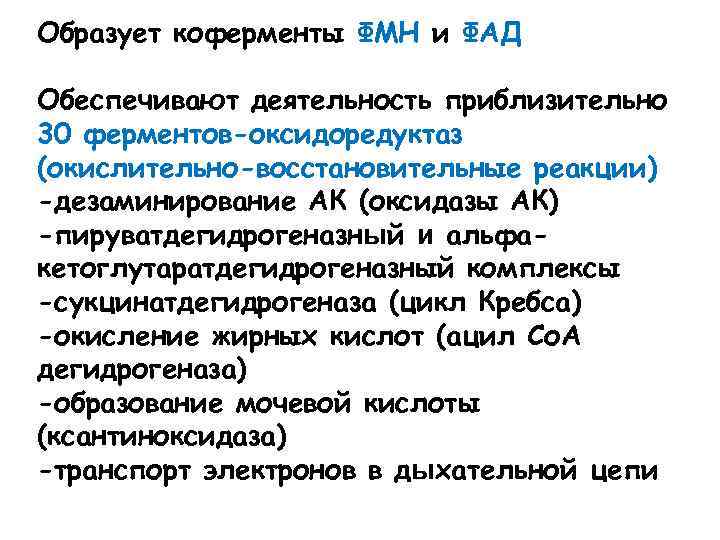 Образует коферменты ФМН и ФАД Обеспечивают деятельность приблизительно 30 ферментов-оксидоредуктаз (окислительно-восстановительные реакции) -дезаминирование АК