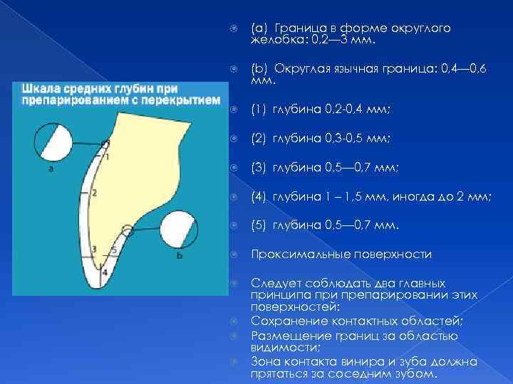  (a) Граница в форме округлого желобка: 0, 2— 3 мм. (b) Округлая язычная