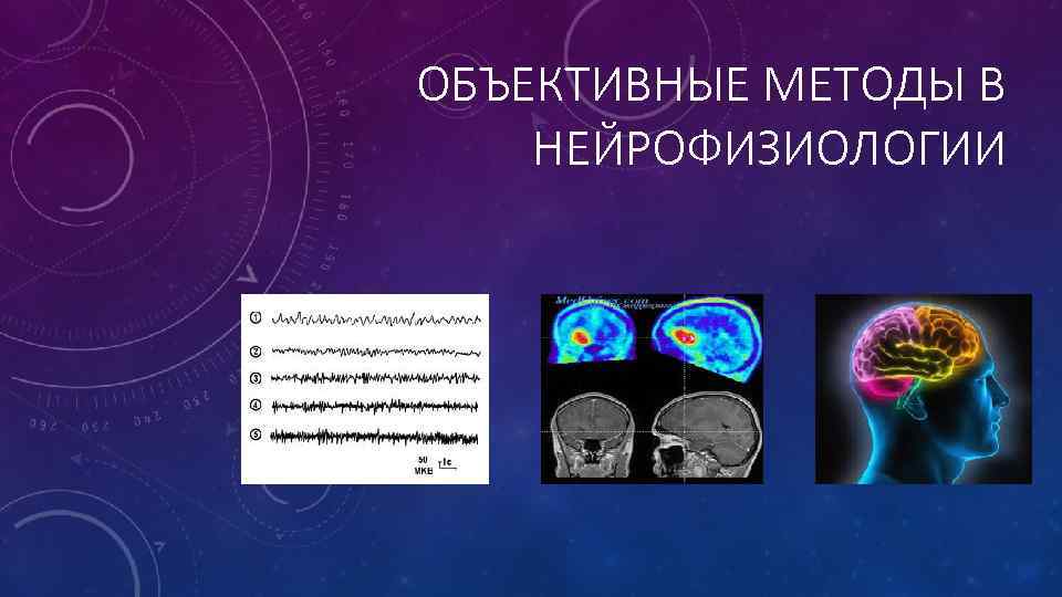 Книги по нейрофизиологии