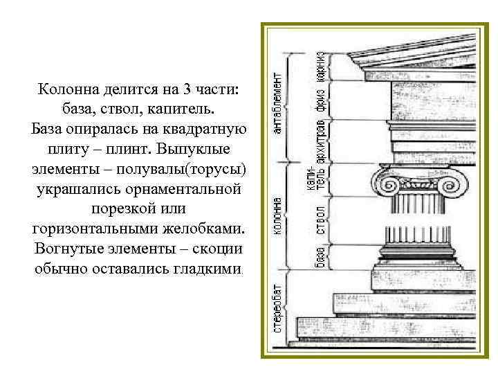 Колонна делится на 3 части: база, ствол, капитель. База опиралась на квадратную плиту –