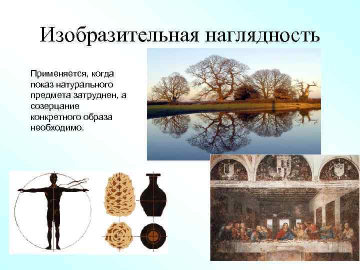 Изобразительная наглядность Применяется, когда показ натурального предмета затруднен, а созерцание конкретного образа необходимо. 