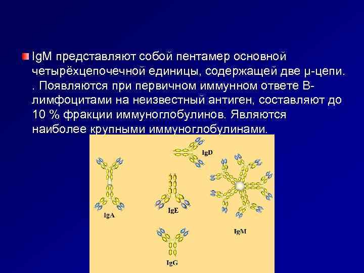 Ig. M представляют собой пентамер основной четырёхцепочечной единицы, содержащей две μ-цепи. . Появляются при