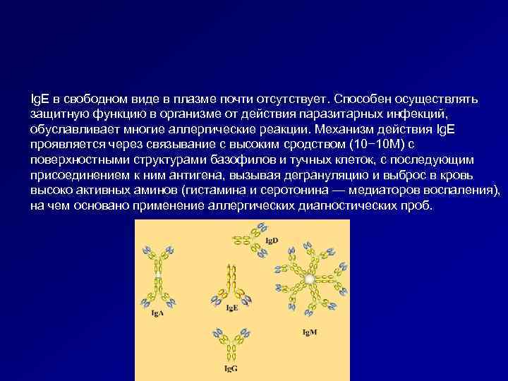Ig. E в свободном виде в плазме почти отсутствует. Способен осуществлять защитную функцию в