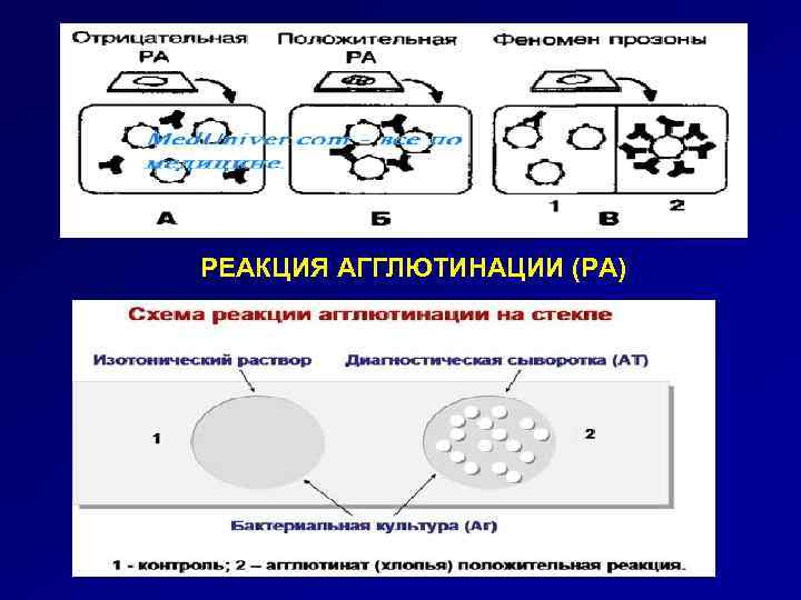 РЕАКЦИЯ АГГЛЮТИНАЦИИ (РА) 